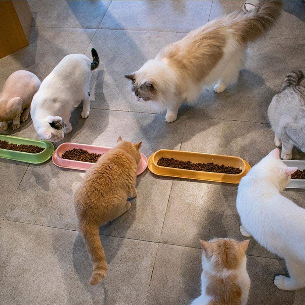 Leakproof pet food and water feeder for cats and puppies, green