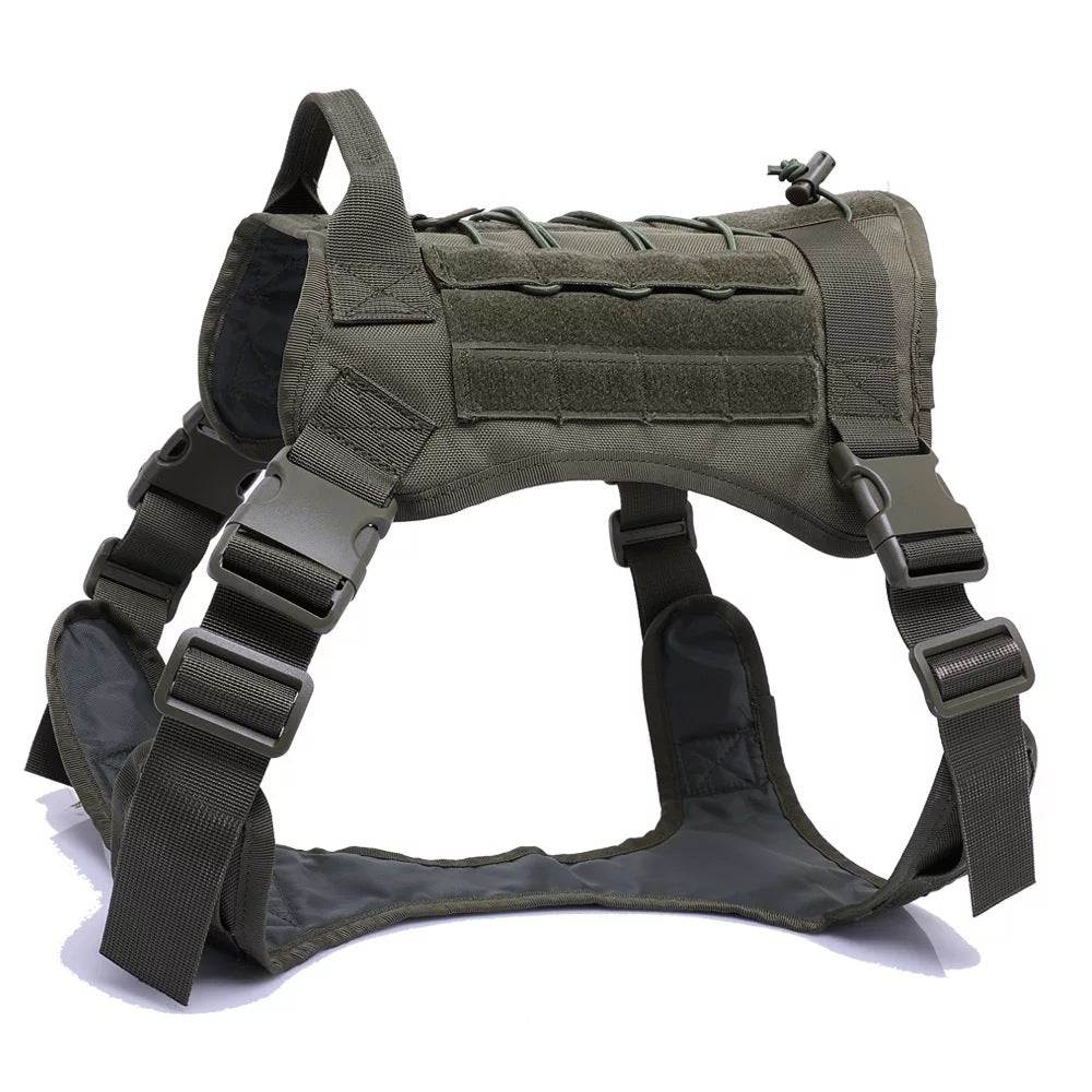Large dog wearing tactical harness vest during training