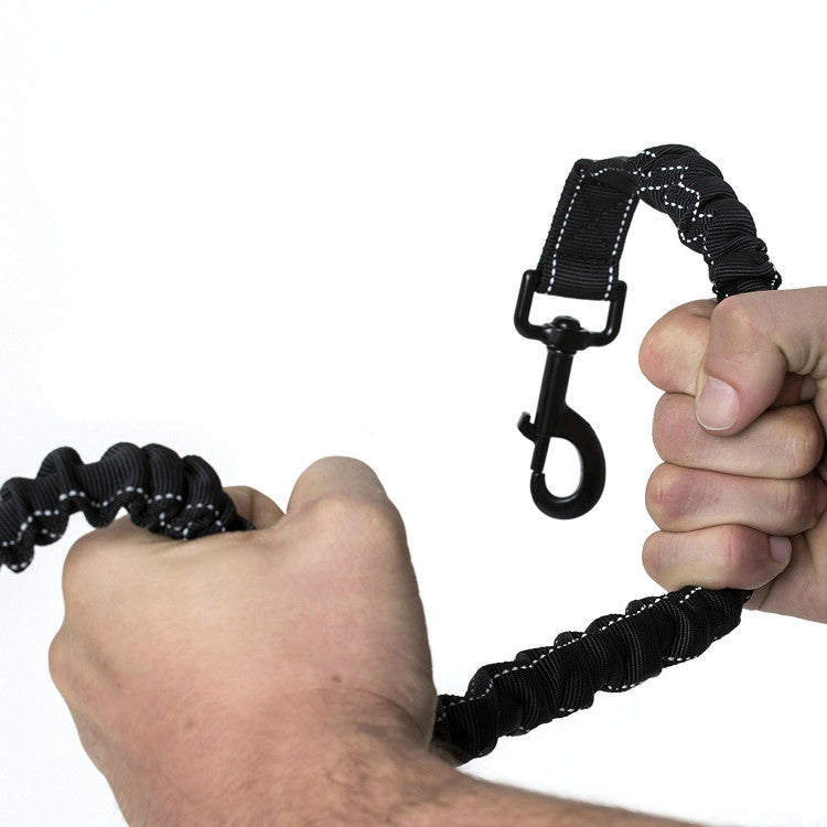 Large dog walking on heavy-duty retractable lead