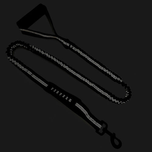 Close-up of one-touch brake and lock on heavy-duty retractable dog lead
