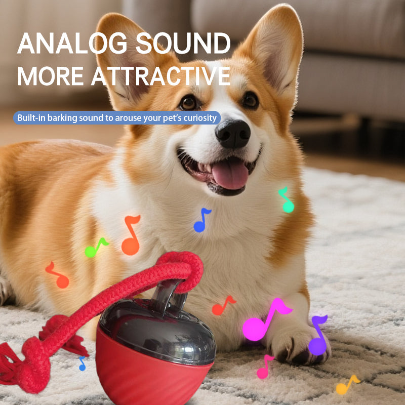 Small dog playing with smart self-rolling ball toy