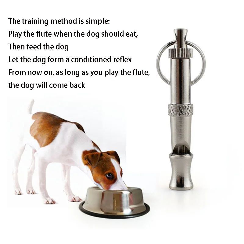 Ultrasonic dog training whistle with lanyard cord