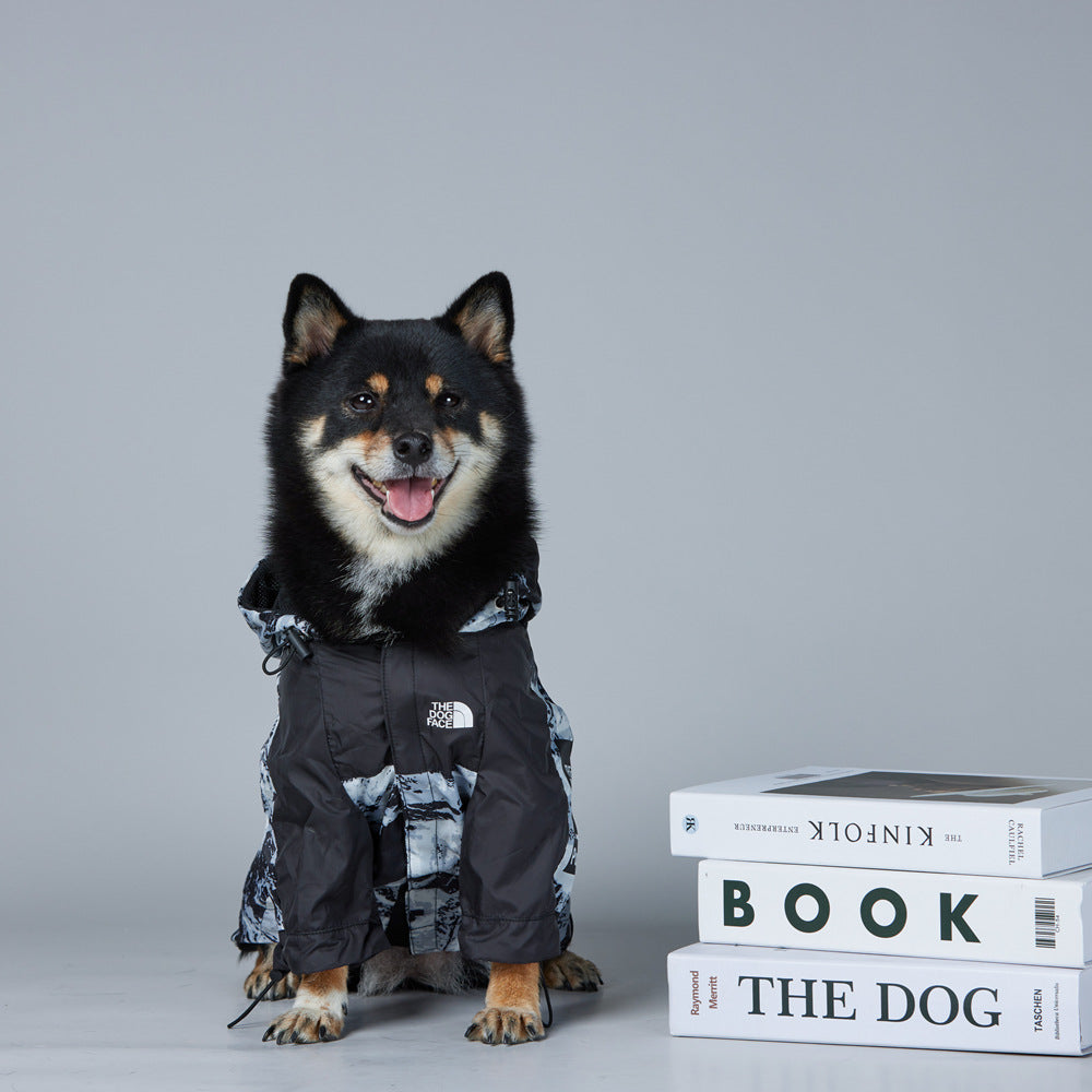 Dog wearing windproof winter coat outdoors in snow