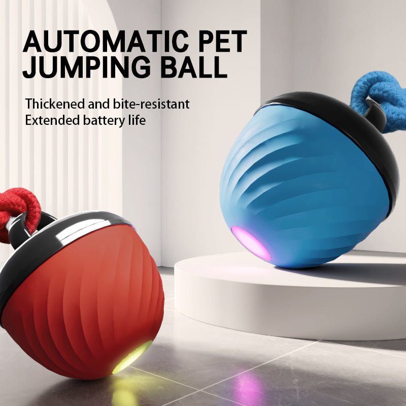 Large dog chasing smart interactive electronic ball outdoors
