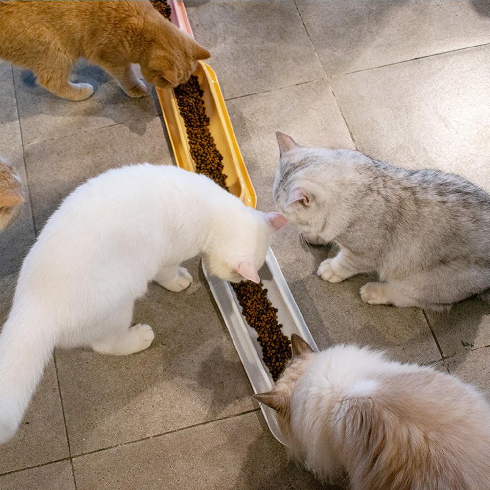 Leakproof pet feeder shown in yellow colour option