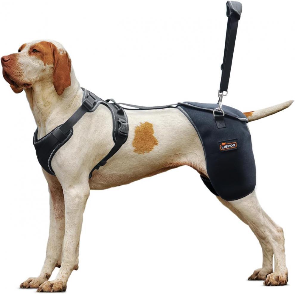 Hip and joint support dog harness product flat lay, black mesh fabric