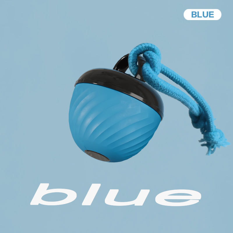 Smart interactive dog ball changing direction while rolling