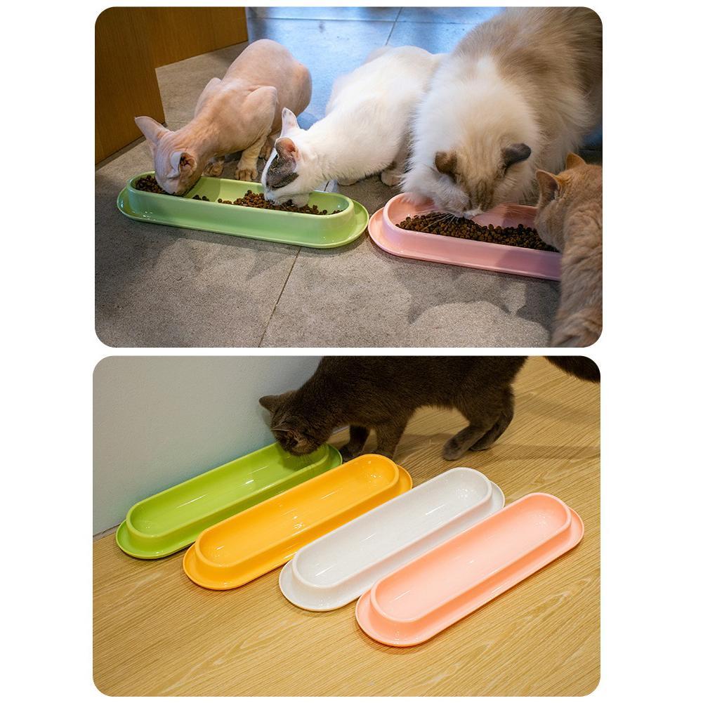 Multiple cats using leakproof pet feeder in multi-pet household