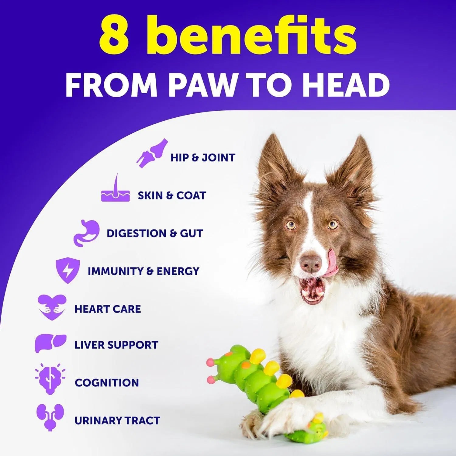 20-in-1 Dog Multivitamin Chews — Joints, Gut, Skin & Immunity (120 Chews)
