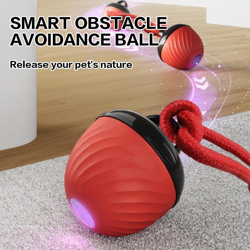 Smart interactive dog ball in red colour option