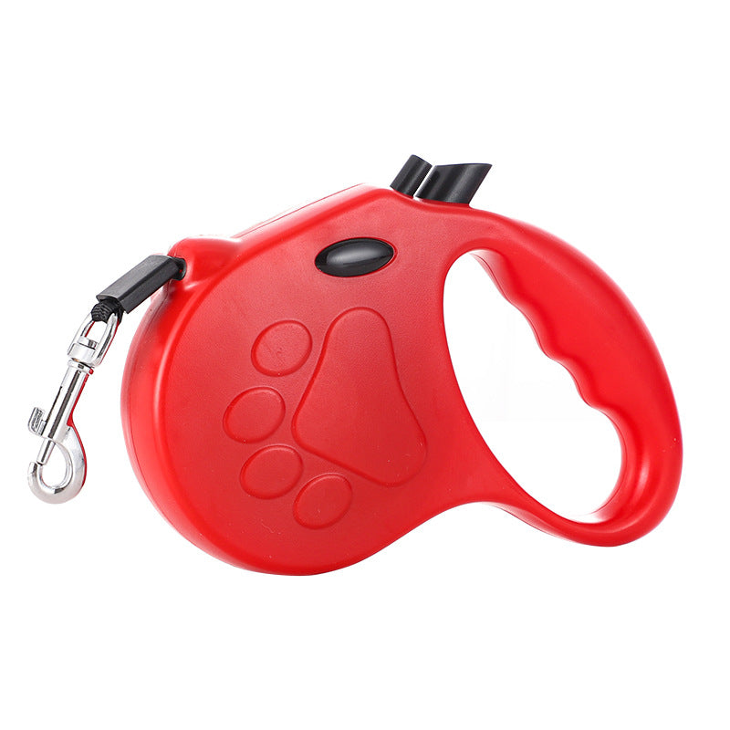 Small dog on retractable lead walking outdoors