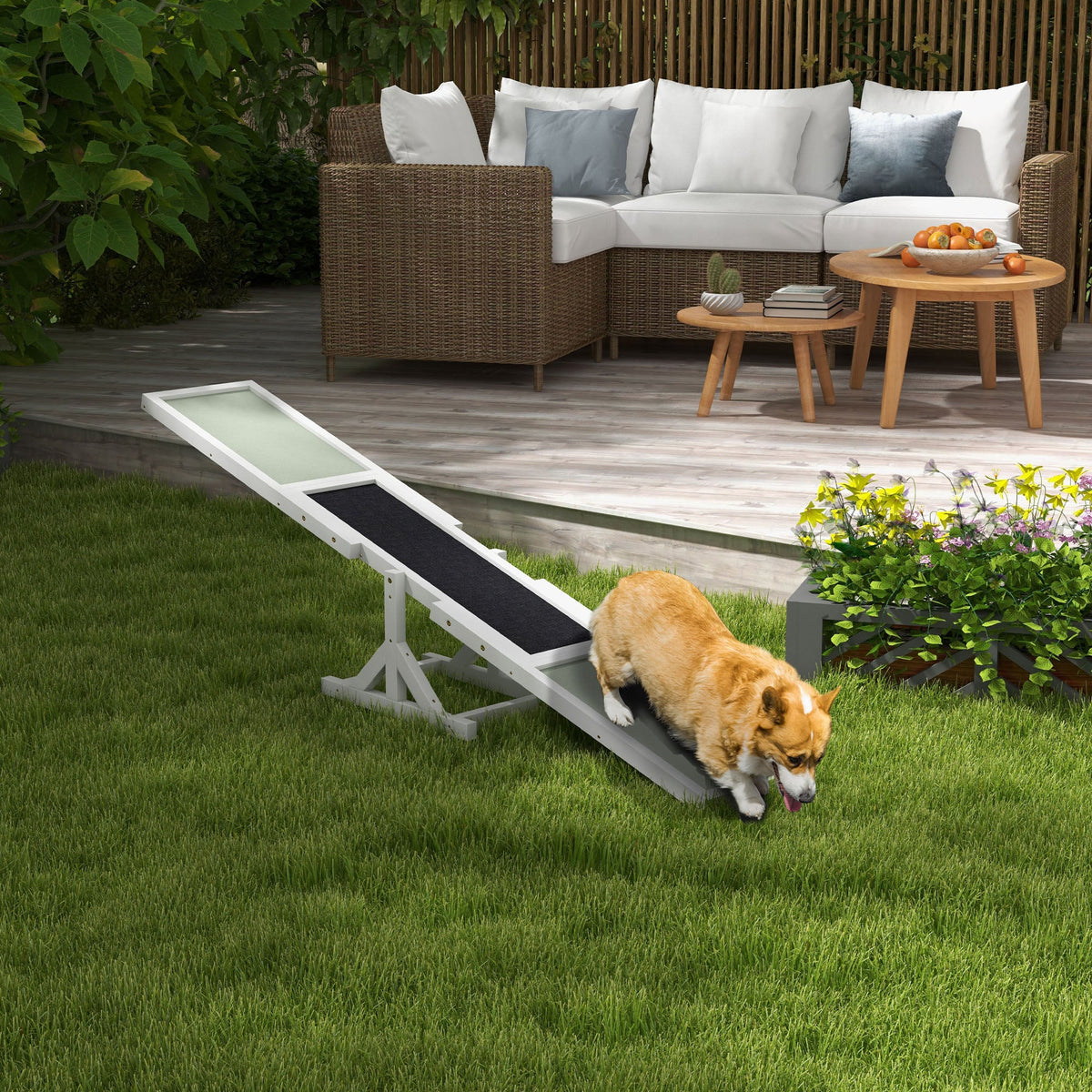Dog running up PawHut agility seesaw training equipment