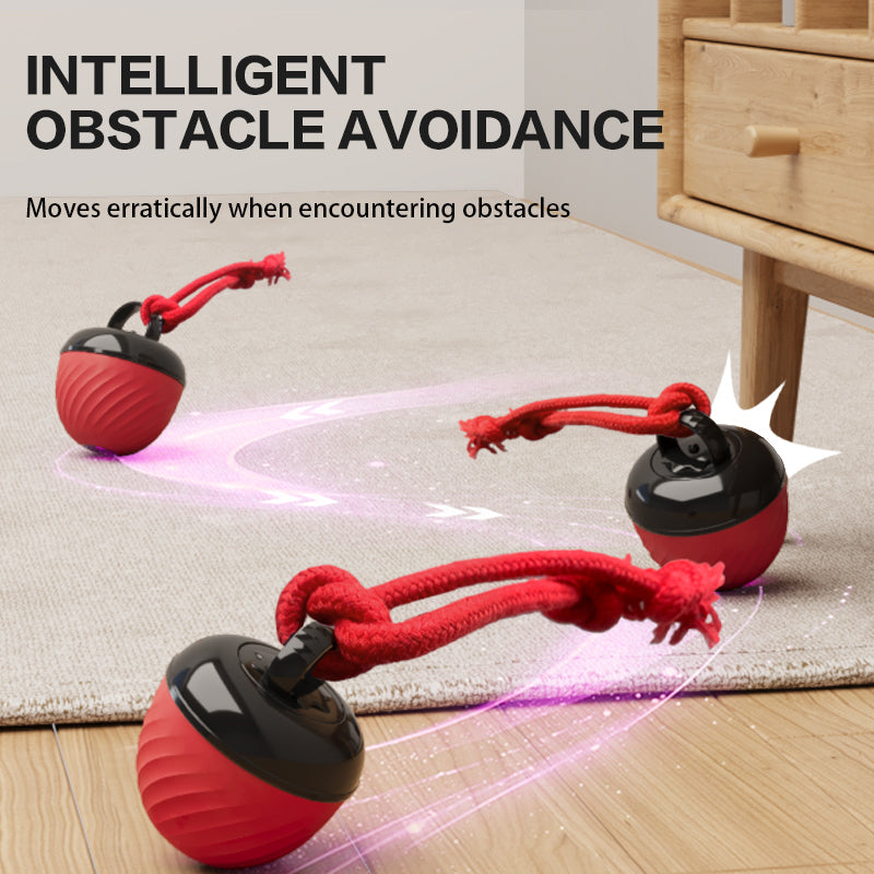 Dog chasing smart self-rolling interactive ball indoors