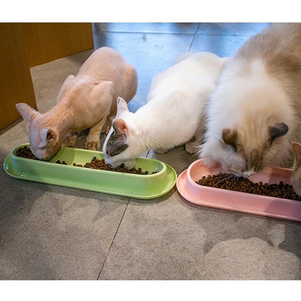 Leakproof pet feeder size and dimensions diagram