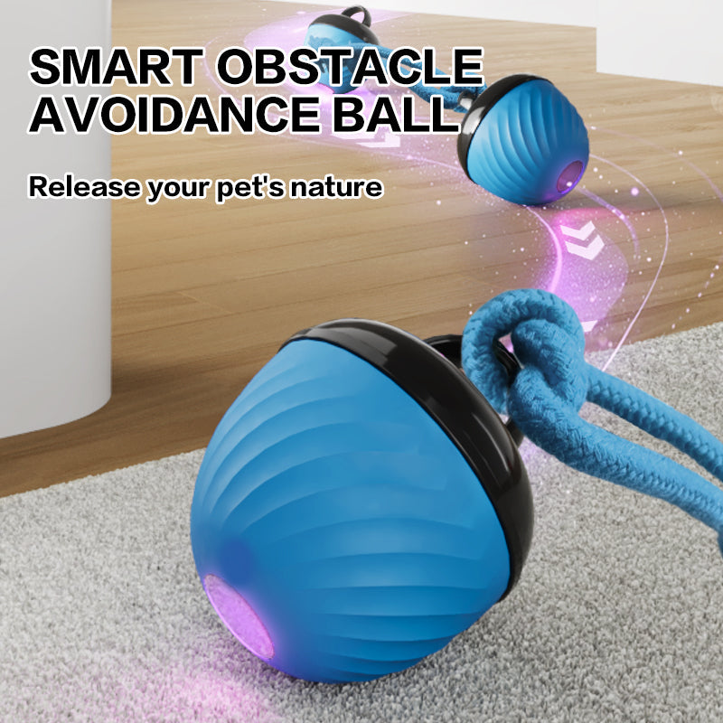 Smart interactive dog ball internal motor and sensor diagram