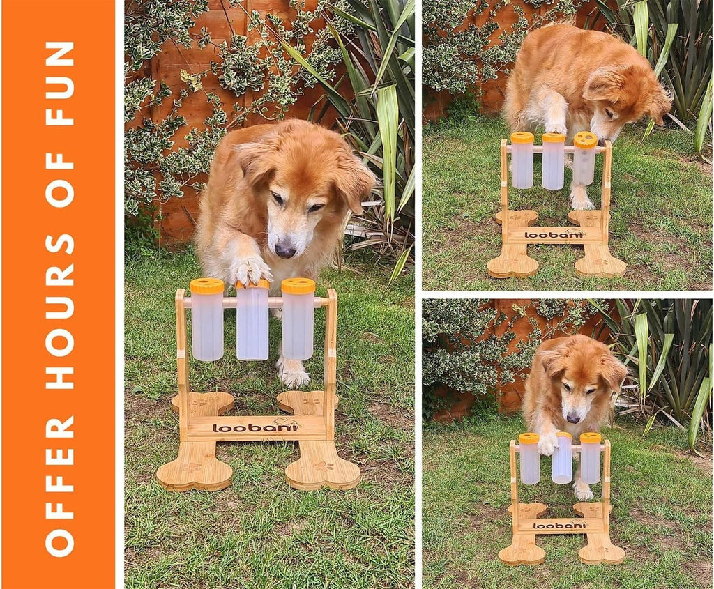 Dog nosing sliders on wooden puzzle feeder to find treats
