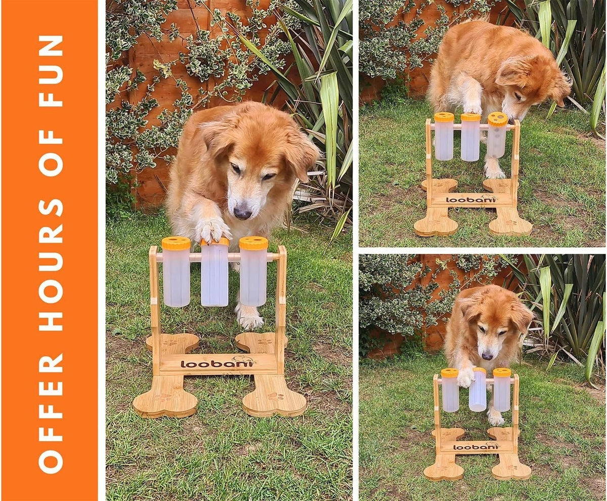 Dog nosing sliders on wooden puzzle feeder to find treats