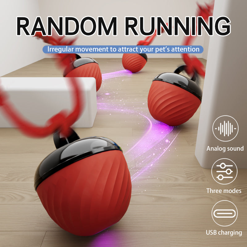 Smart interactive dog ball packaging box