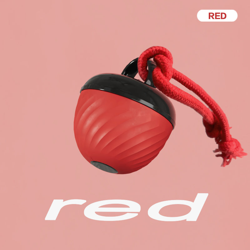 Dog resting next to smart interactive dog ball toy