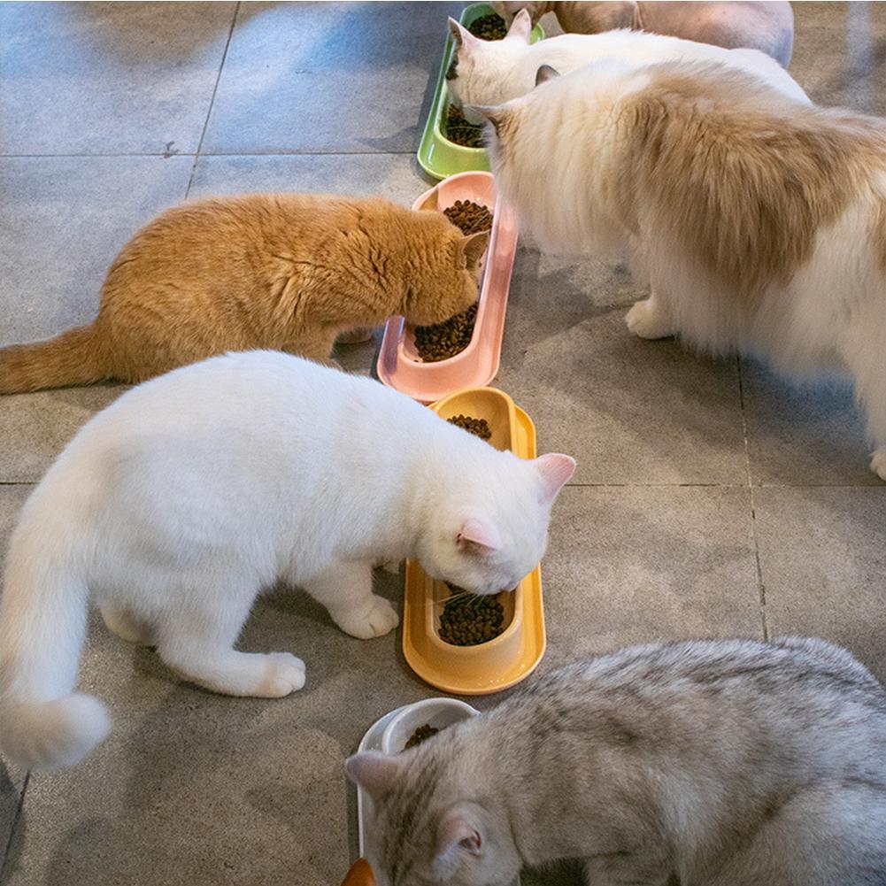 Leakproof pet feeder shown in pink colour option