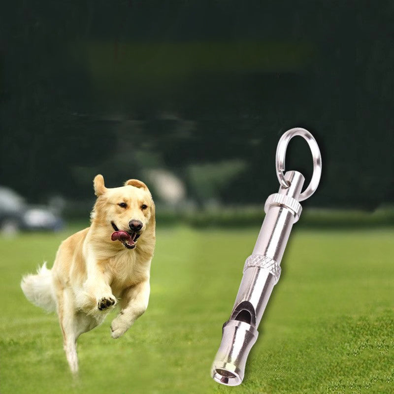 Person using ultrasonic dog training whistle outdoors