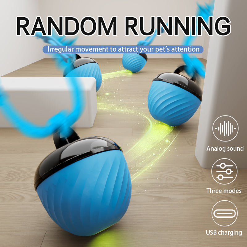 Smart interactive dog ball in blue colour option