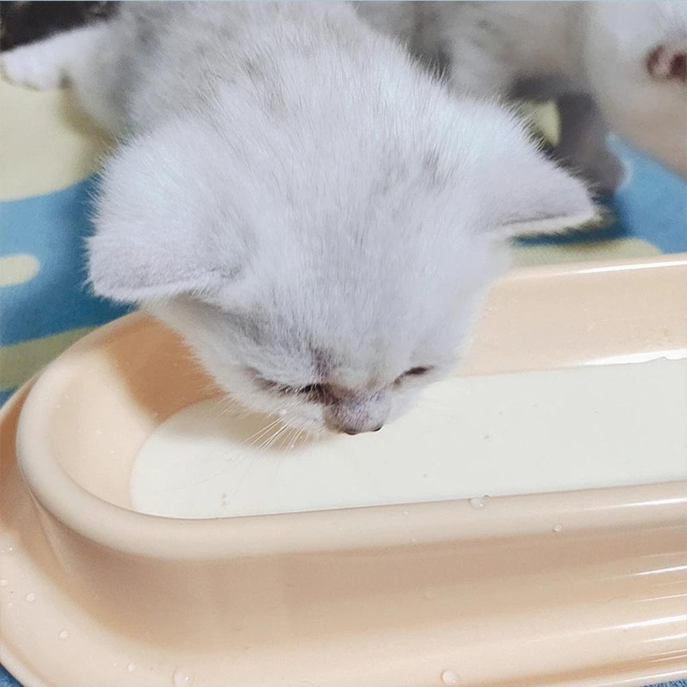 Leakproof pet feeder combined food and water compartments